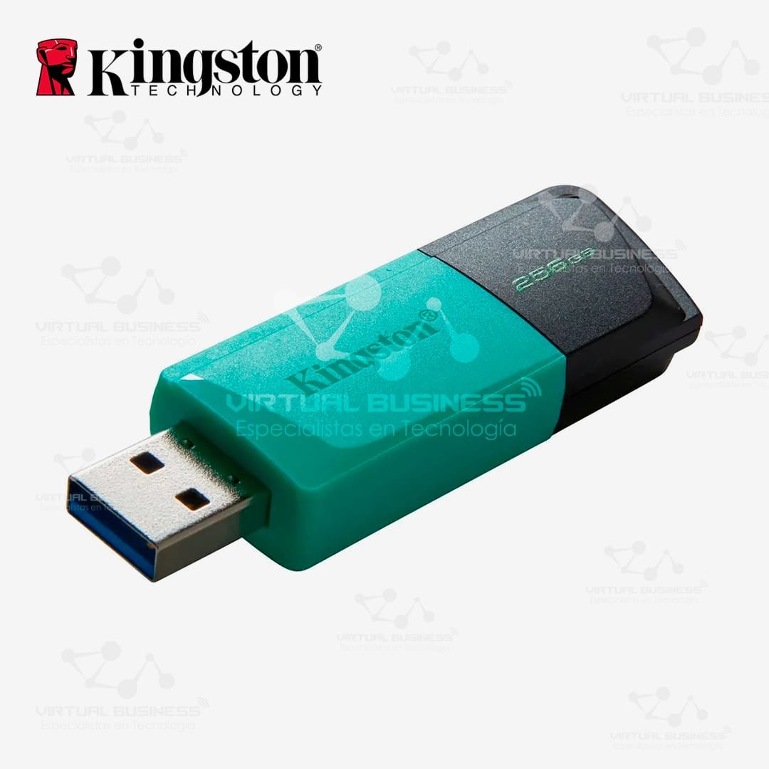 MEMORIA FLASH USB KINGSTON EXODIA 256GB NEGRO CON AZUL - Imagen 2